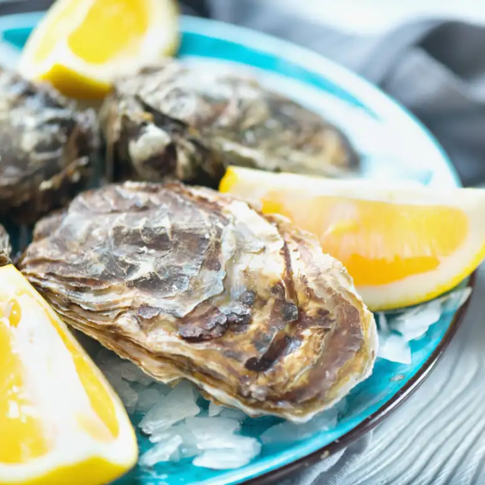 Oesterweekend Waddenzee