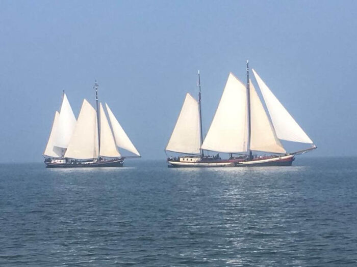 Waddenrace (Harlingen)
